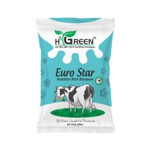 euro star compressed
