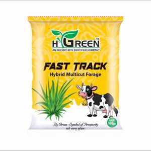 fast track compressed