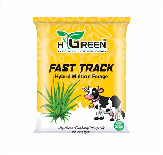 fast track compressed fast track compressed
