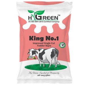 king no 1 compressed