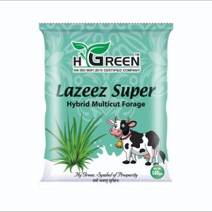 lazeez super compressed