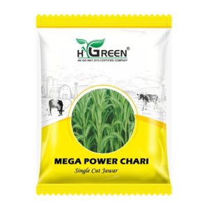 mega power compressed