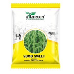 sumo sweet compressed