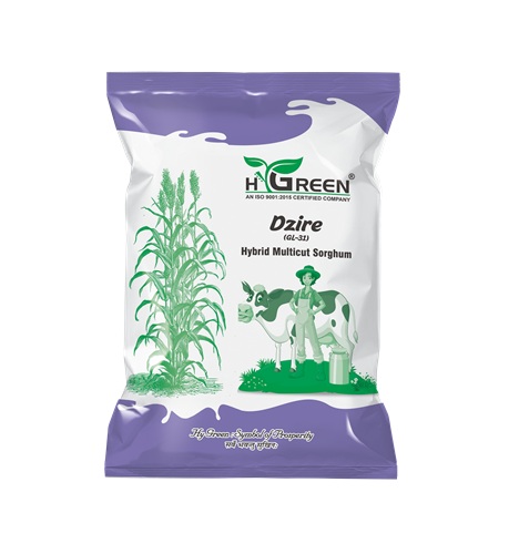 dzire compressed dzire compressed