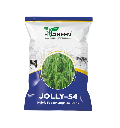 jolly compressed jolly compressed