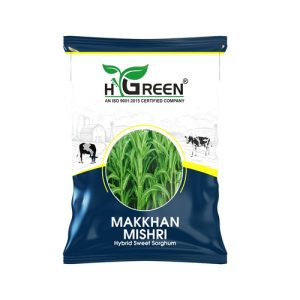 makkhan mishri compressed