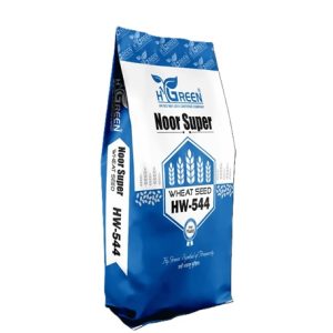 noor super compressed