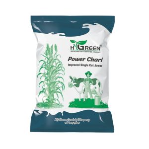 power chari compressed