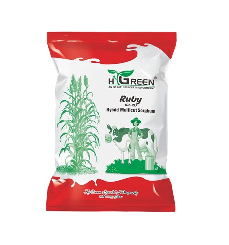 ruby compressed ruby compressed