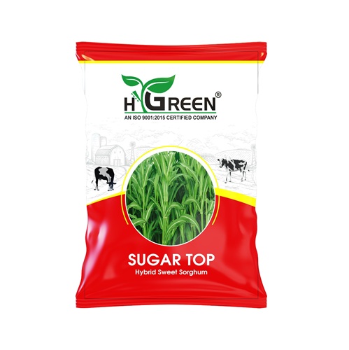 sugar top compressed sugar top compressed